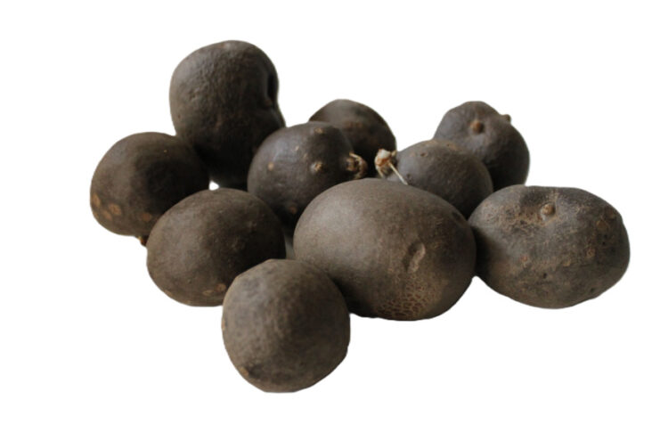 uttarakhand vegetables